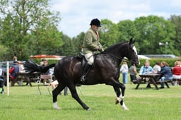H36_8060 2026