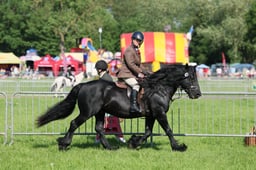 C33_0627 2026