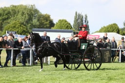 E28_3350 2026