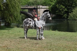 L31_1196 2026