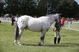 H42_0100 2026