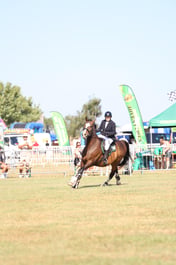 U60_0245 2026