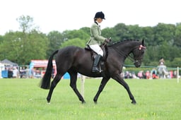 H36_8649 2026