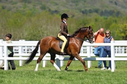 H19_0633 2026