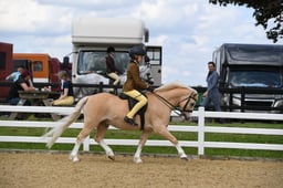 05A M&M Junior Ridden Small Breeds