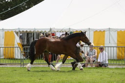 E34_2500 2026