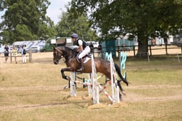 223 BRIGHT BRAMBLE