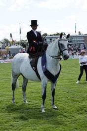 458 HOYS Ladies Hunter