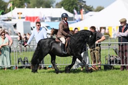 C33_0938 2026