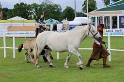 C44_0060 2026