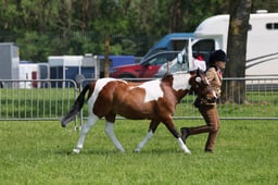 C33_1164 2026