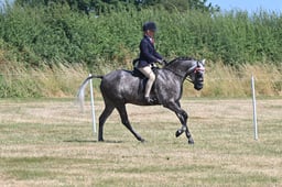 S60_0516 2026