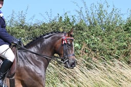 S60_0349 2026
