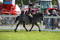 W33_0670 2026