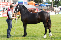 E69_0932 2026