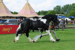 S28_9768 2026