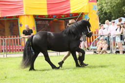 E34_2702 2026