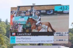 Una Mariposa