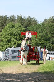 Agricultural Turnouts Pre Judging