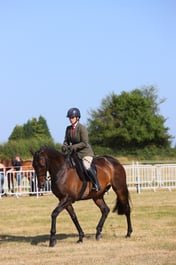E60_5100 2026