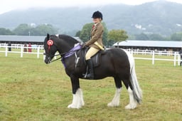 294-92 Senior Ridden Championship