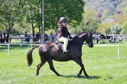 C19_1504 2026