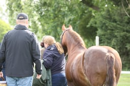E31_0427 2026