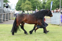 M44_0961 2026