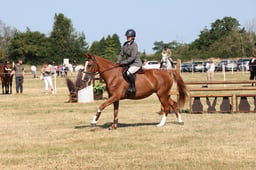 E60_0473 2026