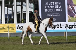 A47_0608 2026