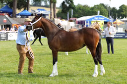 E69_0921 2026