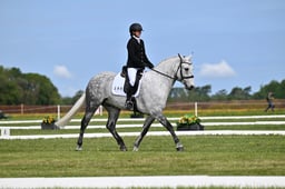 380 CORBALLY HERO