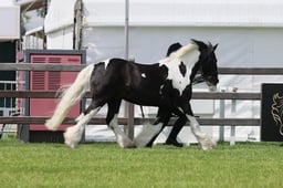 S28_9206 2026