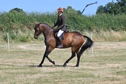S60_0466 2026