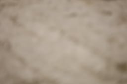 K59_6632 2026