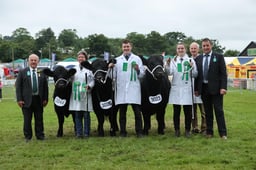 Exhibitor Bred Team of 3 - Native Beef