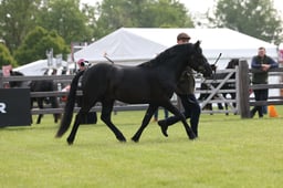 W29_0485 2026