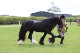 J36_6300 2026