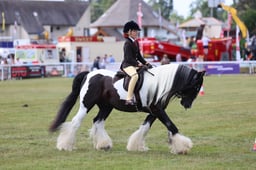 Z68_0796 2026