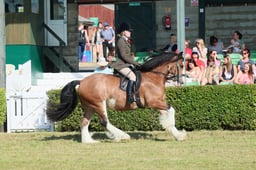 S61_0456 2026