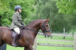 CL 115 Lusitanos Ridden English