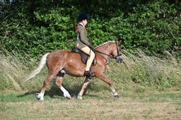 S60_0027 2026