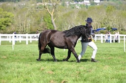 S19_7451 2026