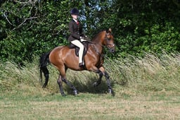 S60_0277 2026
