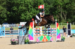 Calcourt Goldielux
