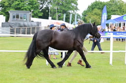C44_0374 2026
