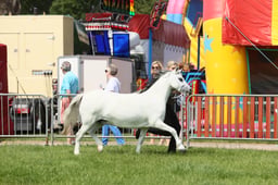 E34_1422 2026