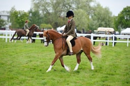 74 M&M Confined Novice Welsh A & B