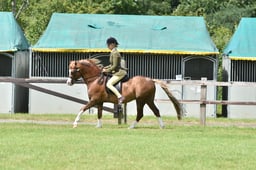 CLH90 Ridden Welsh A & B