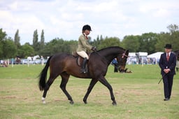 W36_1936 2026